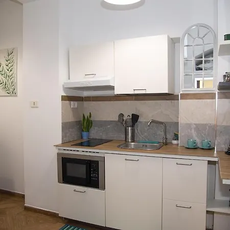 Vatican - Risorgimento's Homies