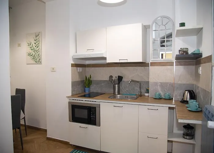 Vatican - Risorgimento's Homies